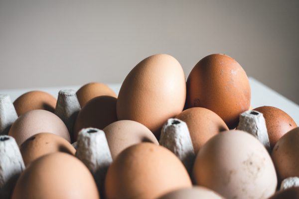 jakub-kapusnak-296865-unsplash jakub-kapusnak-296865-unsplash